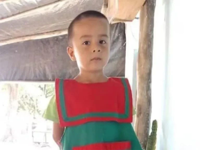 Causa Desaparición Niño Loan Peña